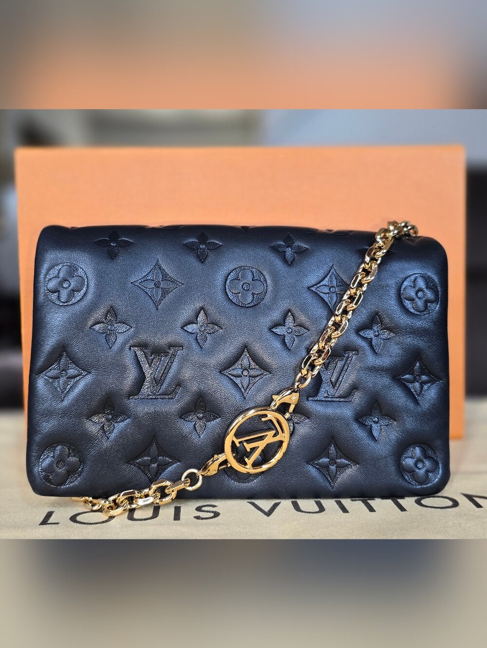 Louis Vuitton Pochette Coussin